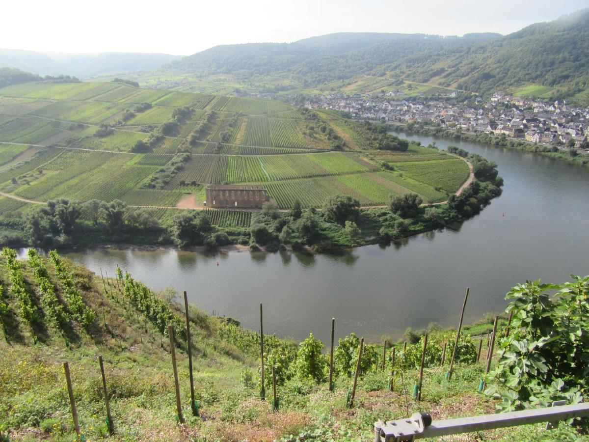 Ferienhaus Leopold Mit Burgblick An Der Mosel Burgen  Dış mekan fotoğraf