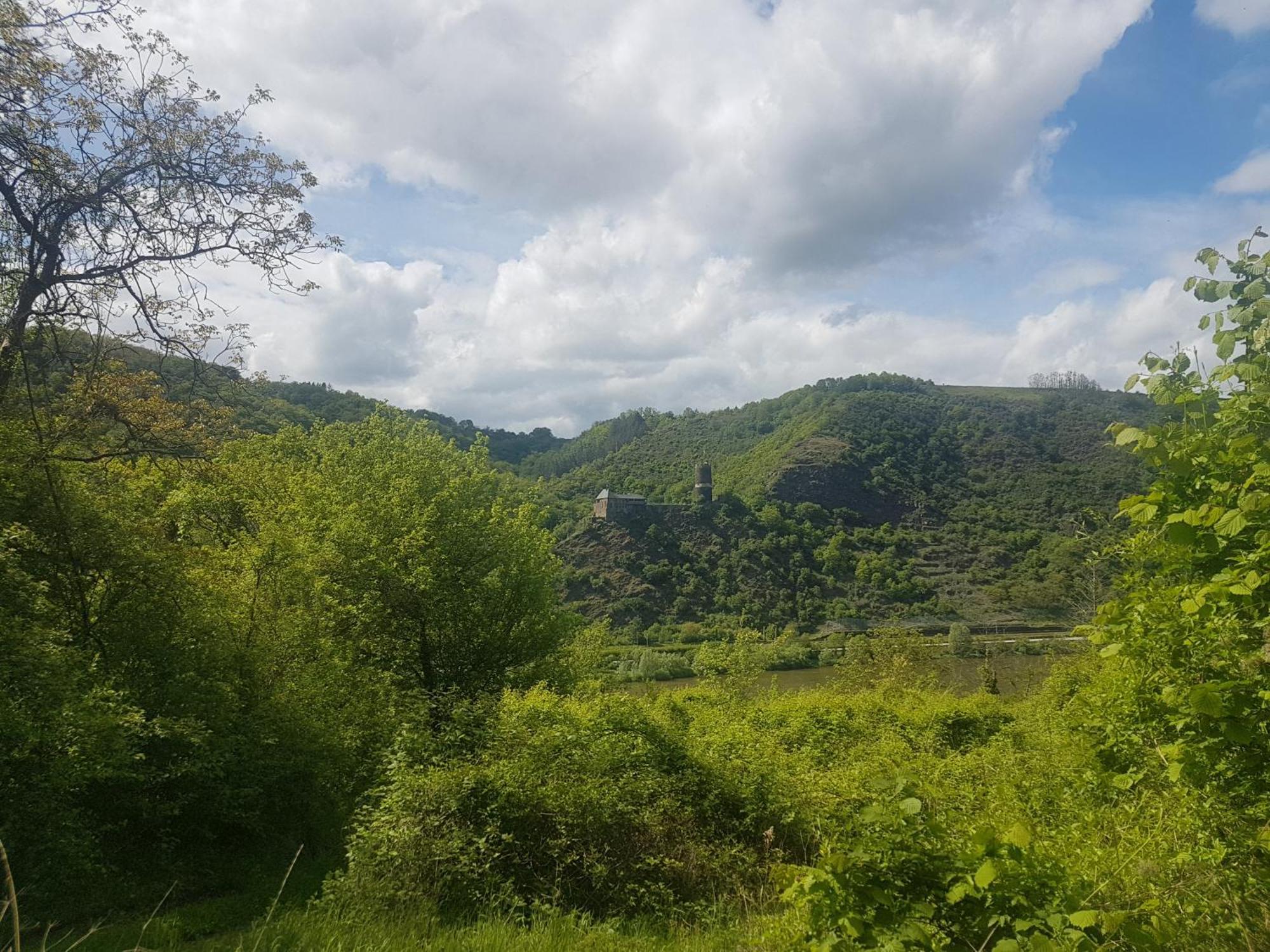 Ferienhaus Leopold Mit Burgblick An Der Mosel Burgen  Dış mekan fotoğraf